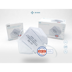 ZhiShan 10217 CE2163